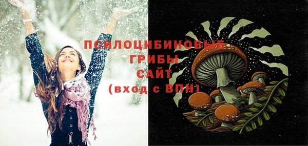 бошки Надым