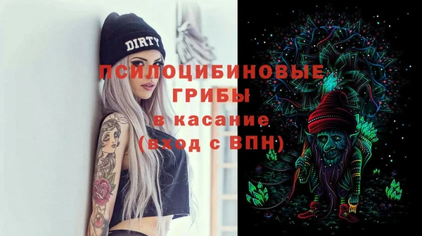 бошки Надым