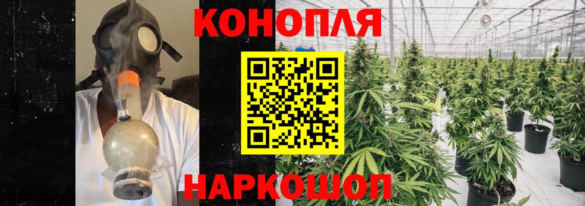 Канабис MAZAR  Каннабис индика  Бошки Шишки White Widow  Марихуана семена  Вход с VPN  Тюмень 